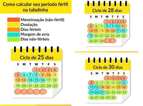 Como Calcular o Dia Fértil: Um Guia Completo