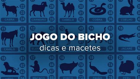 Como Jogar o Bicho de Goiás