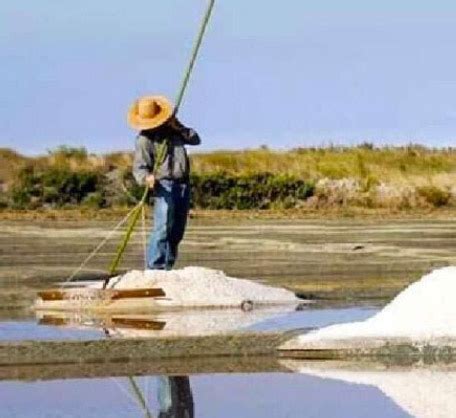 Como a Flor de Sal é Produzida