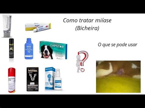 Como funciona o Comprimido para Matar Bicheira?