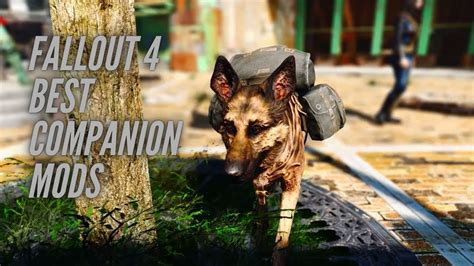 Companion Perks Fallout 4: Enhancing Your Wasteland Experience