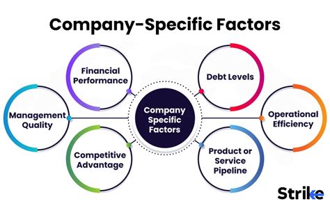 Company-Specific Factors: