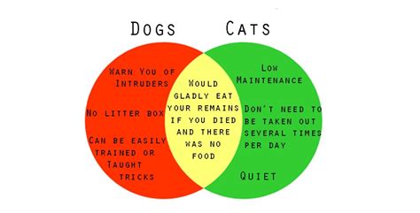 Compare and Contrast: Dogs vs. Cats