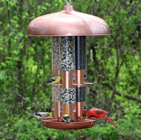 Compared to other popular bird feeders