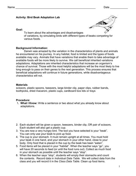 Comparing Adaptations Of Birds Lab Answer Key PDF