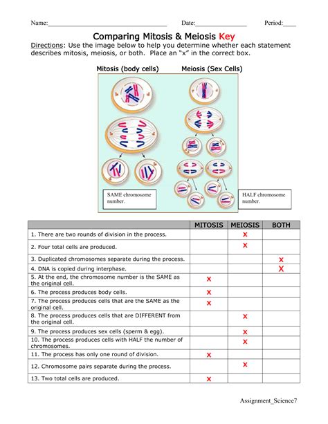 Comparing Mitosis And Meiosis Answer Key Reader