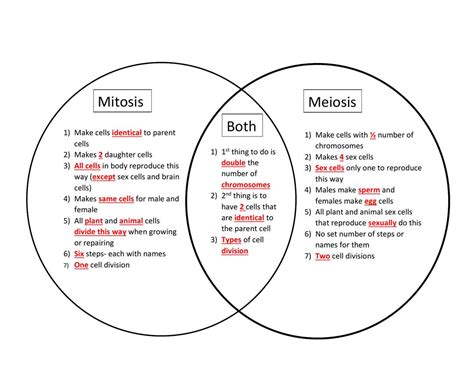 Comparing Mitosis And Meiosis Answers Venn Diagram Kindle Editon