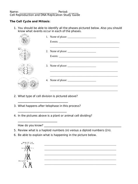 Comparing Mitosis And Meiosis Lab 17 Answers Doc