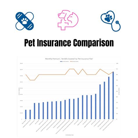 Comparison of Pet Insurance: 6 Essential Factors to Consider