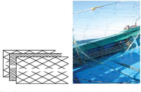 Comparisons of Catches by Standard Lake Survey Nets with Catches by Modified Nets Kindle Editon