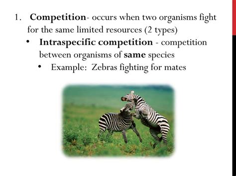 Competition Between Two Species Occurs When What Happened