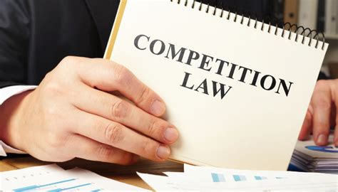 Competition Law Epub