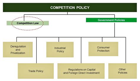 Competition Law and Policy A Tool for Development in Tanzania PDF