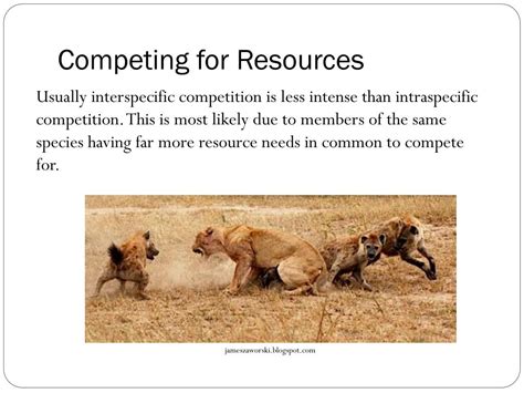 Competition for resources.