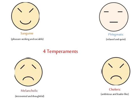 Complementary Temperaments: