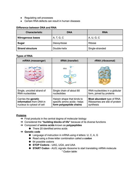 Complete Moveset Replication: