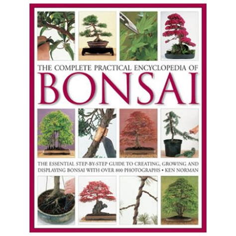 Complete Practical Encyclopedia Bonsai Step  Kindle Editon