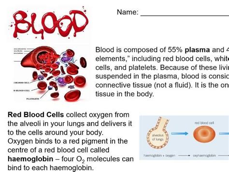 Composition And Functions Of Blood Answers Reader