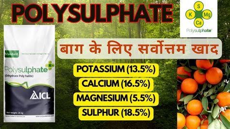 Composition of Polysulphate Fertilizer