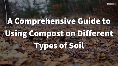 Compost Crusher 101: A Comprehensive Guide to the Ultimate Soil Enhancer