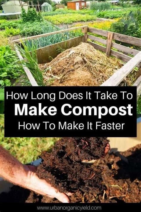 Compost Fermenter: The Essential Guide to 1,000x Faster Composting