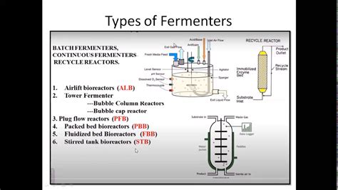 Compost Fermenter: The Ultimate Guide to 5 Different Types of Fermenters