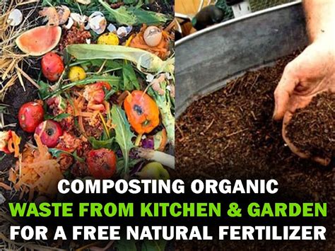 Compost Fertilizer Making Machine: A Comprehensive Guide to Organic Waste Management