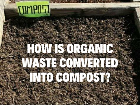 Compost Machine: 7-Step Guide to Turn Organic Waste into Fertile Soil