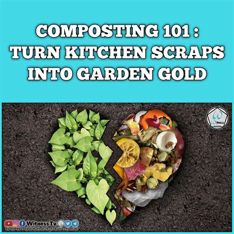 Compost Machine Making: 5 Easy Steps to Turn Your Kitchen Scraps into Garden Gold