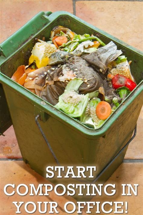 Compost Machine Organic Waste Fertilizer: A Comprehensive Guide for Beginners