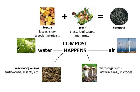 Compost Making Machines: 5 Tools to Solve Your Soil Problems