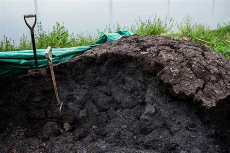 Compost Manure Dryer: A Key to Efficient and Sustainable Waste Management