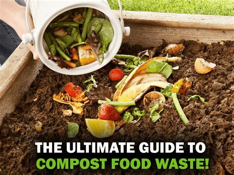 Compost Manure Dryer: The Ultimate 5-Step Guide to Optimize Waste Management