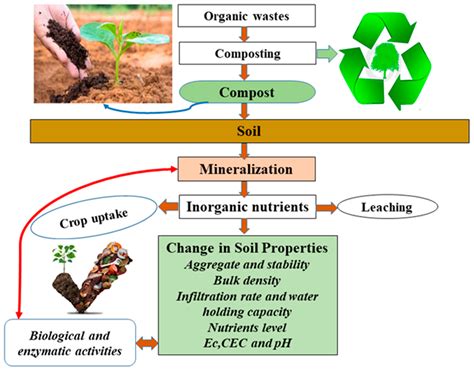 Compost Manure Machine: Transform Waste into Gold