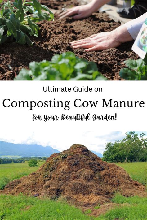 Compost Manure Machine: Ultimate Guide