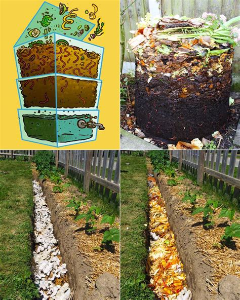 Compost Manure Machine: Your Ultimate Guide to Transforming Waste into Gold