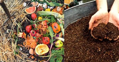 Compost Manure Making Machine: The Ultimate Guide to Turning Waste into Gold