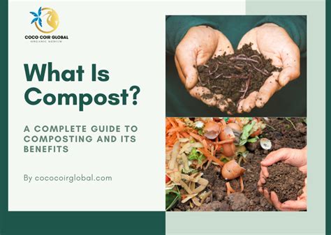 Compost Prilling Equipment: A Comprehensive Guide to the Latest 2023 Technology