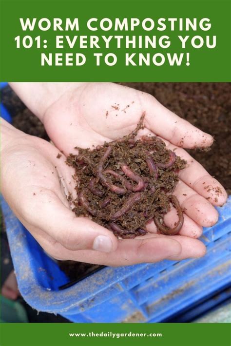 Compost Sieve Machine 101: Everything You Need to Know