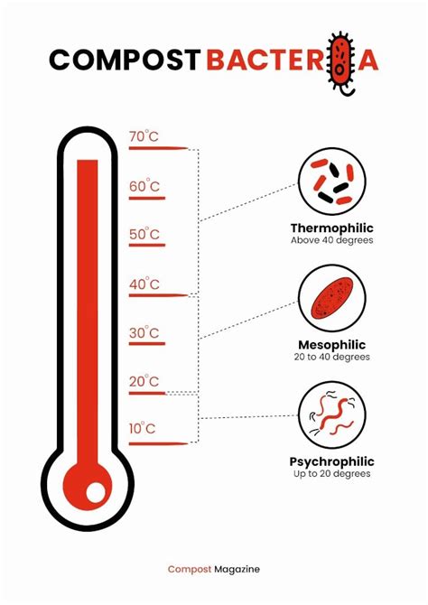 Compost Temperature Chart