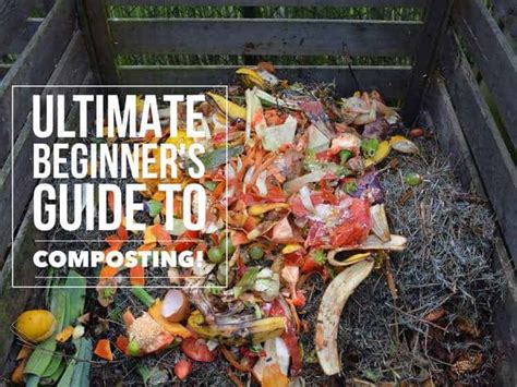 Compost Terner: The Ultimate Guide to Composting in 3 Days