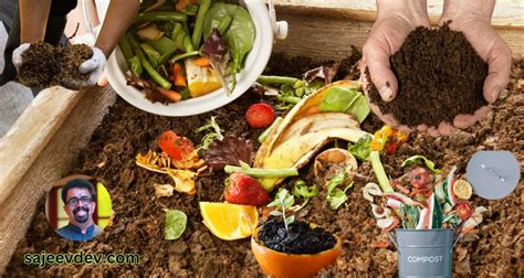 Compost Terner: The Ultimate Guide to Nutrient-Rich Soil