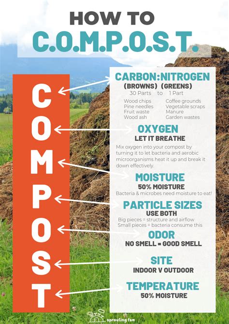 Compost Turner 101: A Complete Guide to Making Your Own Nutrient-Rich Soil