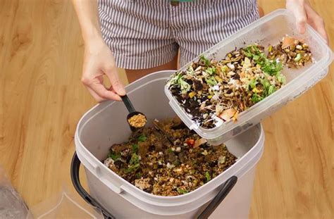 Compost Turner Tool: Your Ultimate Guide to Efficient Composting