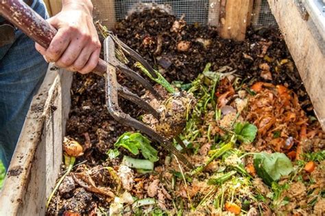 Compost Turning Equipment: A Comprehensive Guide to Maximize Your Organic Waste Management