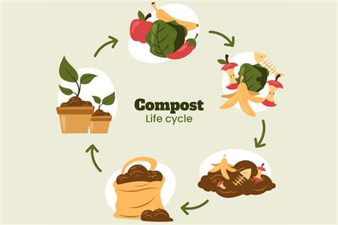 Compost Turning Machines: 500% Boost in Decomposition for Efficient Waste Management