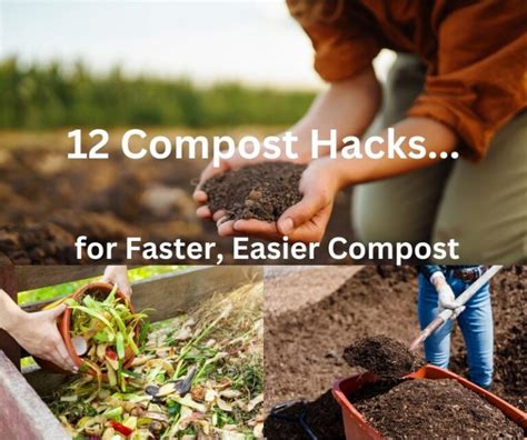 Compost and Fertilizer: 20,000+ Natural Hacks for Your Garden