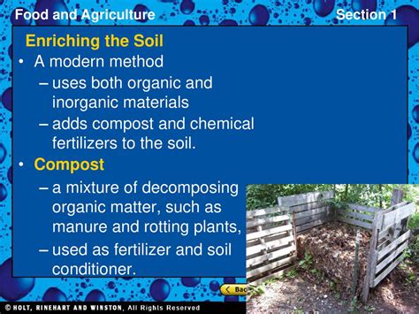 Compost and Fertilizer: A Powerhouse Duo for Soil Enrichment