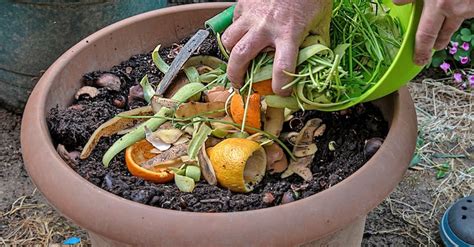 Compost and Fertilizer: The 10,000-Word Guide to Turning Your Kitchen Scraps Into Garden Gold