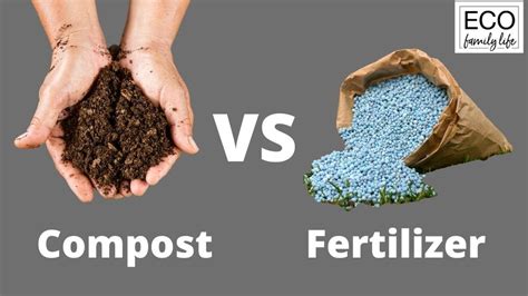 Compost vs. Fertilizer: 10 Key Differences Every Home Gardener Should Know